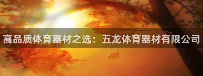 富联平台登录网址是多少：高品质体育器材之选：五龙体育