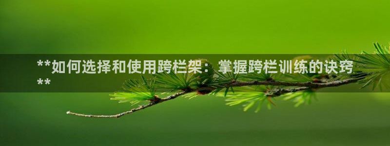 富联娱乐测速软件下载：**如何选择和使用跨栏架：掌握
