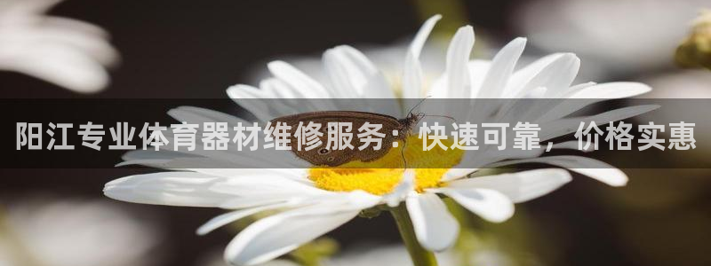 富联官网注册不了账号怎么回事：阳江专业体育器材维修服