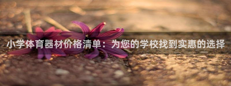 富联智能科技学院：小学体育器材价格清单：为您的学校找