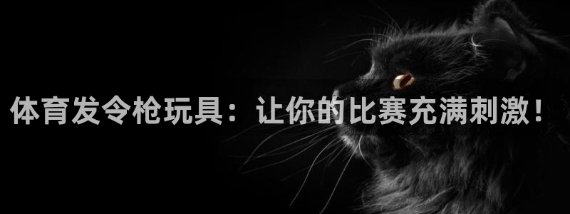 富联平台登录网址查询：体育发令枪玩具：让你的比赛充满