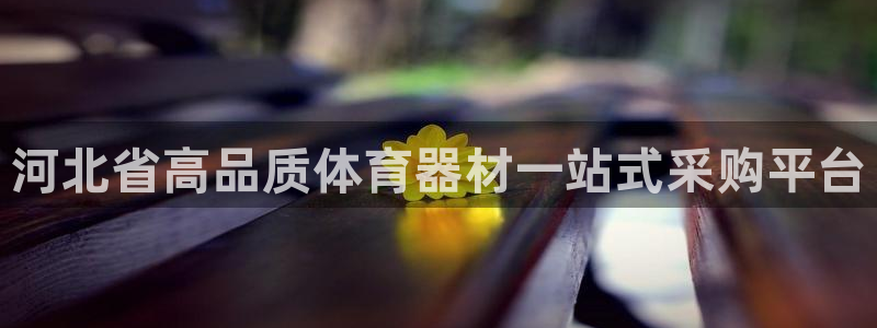 富联娱乐股东：河北省高品质体育器材一站式采购平台