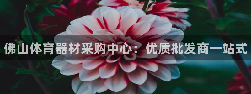 富联是什么意思：佛山体育器材采购中心：优质批发商一站
