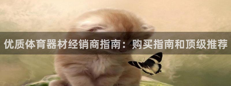 富联平台目 411O31 富联：优质体育器材经销商指