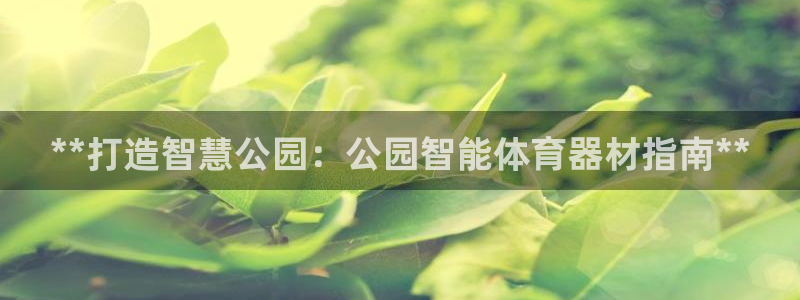 富联娱乐官方网站：**打造智慧公园：公园智能体育器材