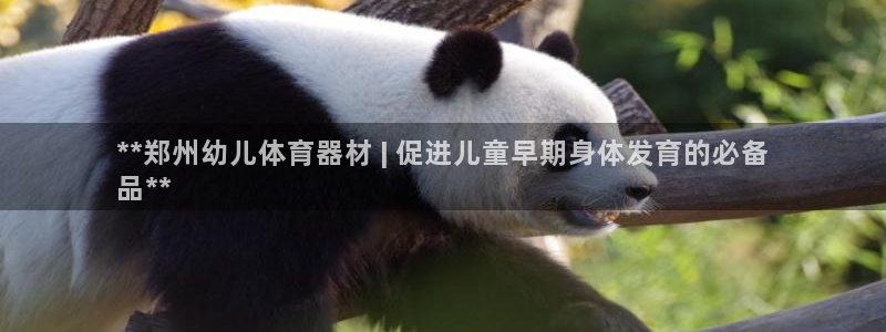 富联娱乐平台开户条件：**郑州幼儿体育器材 | 促进