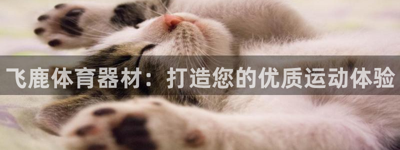 富联平台代理注册：飞鹿体育器材：打造您的优质运动体验