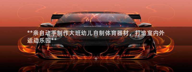 富联平台注册登录：**亲自动手制作大班幼儿自制体育器