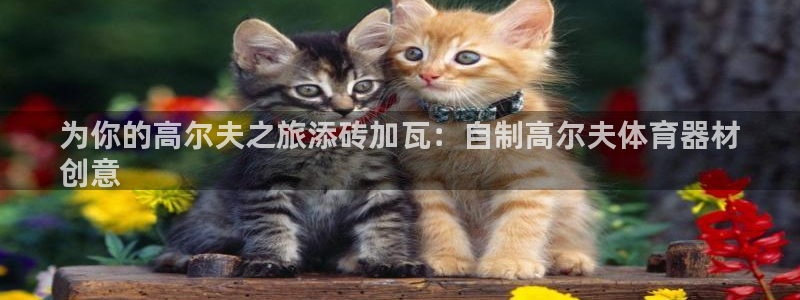 富联平台登录注册流程：为你的高尔夫之旅添砖加瓦：自制