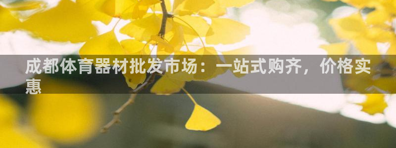 富联娱乐测速app：成都体育器材批发市场：一站式购齐