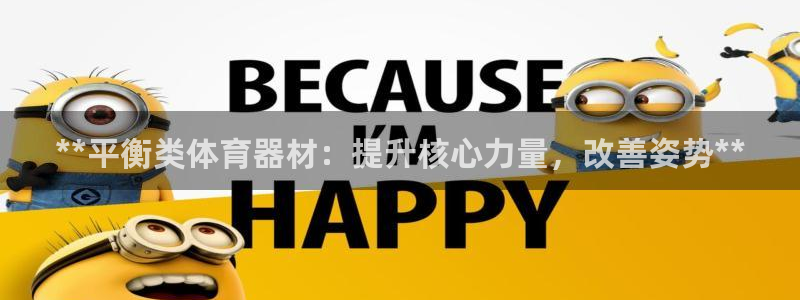 富联机器人产业研发基地：**平衡类体育器材：提升核心