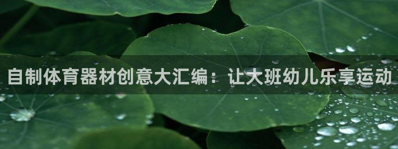 富联申购可以赚多少钱：自制体育器材创意大汇编：让大班