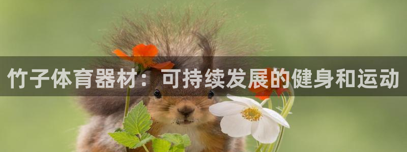 富联平台叩 411O31 富联：竹子体育器材：可持续