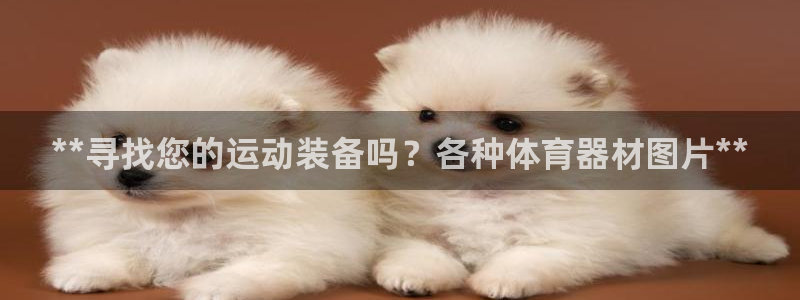 富联娱乐口 411O31 娱乐：**寻找您的运动装备