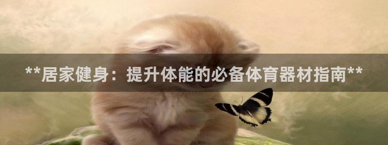 富联娱乐老板是谁：**居家健身：提升体能的必备体育器
