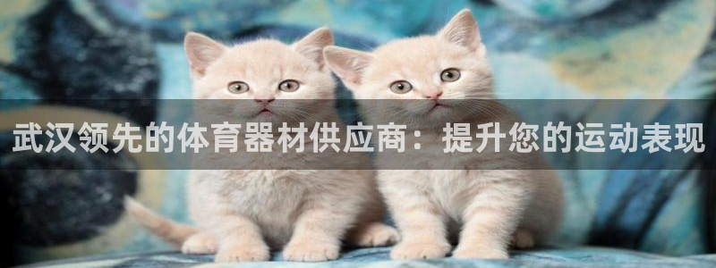 富联娱乐平台是什么平台：武汉领先的体育器材供应商：提