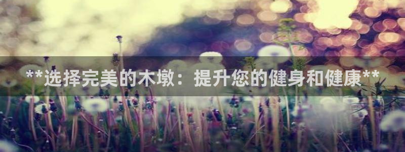 富联平台登陆：**选择完美的木墩：提升您的健身和健康