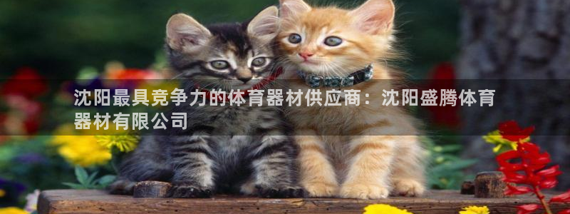 富联建工：沈阳最具竞争力的体育器材供应商：沈阳盛腾体