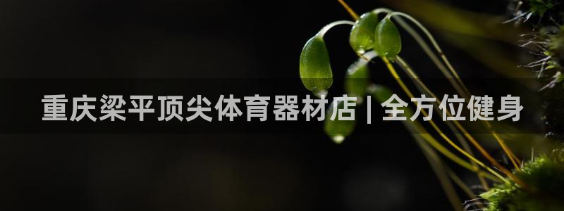 富联娱乐真的吗：重庆梁平顶尖体育器材店 | 全方位健