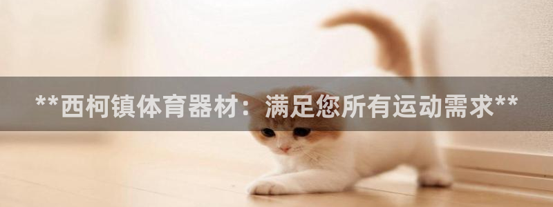 富联娱乐登录注册流程：**西柯镇体育器材：满足您所有