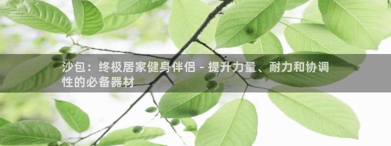 富联娱乐测速登录：沙包：终极居家健身伴侣 - 提升力