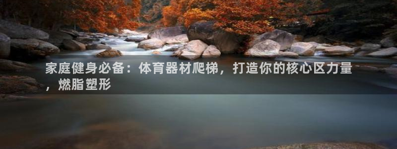富联平台登录注册流程：家庭健身必备：体育器材爬梯，打