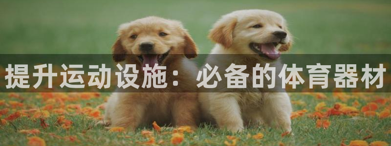富联娱乐负责人名单：提升运动设施：必备的体育器材