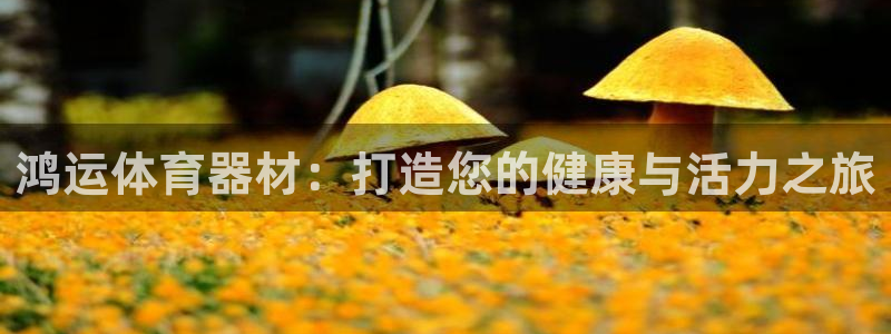 富联化工：鸿运体育器材：打造您的健康与活力之旅