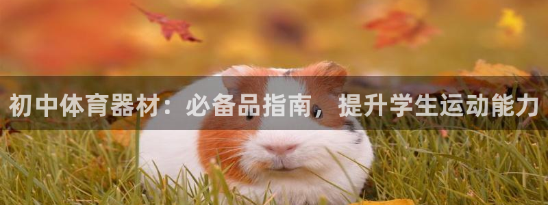 富联娱乐玩法机制：初中体育器材：必备品指南，提升学生