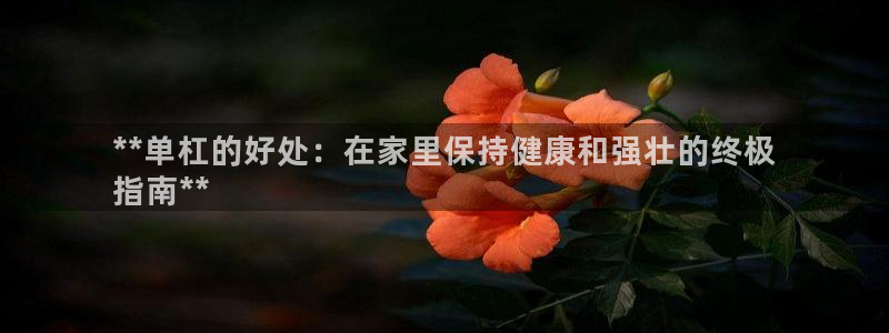 富联官方网站入口网址是多少：**单杠的好处：在家里保