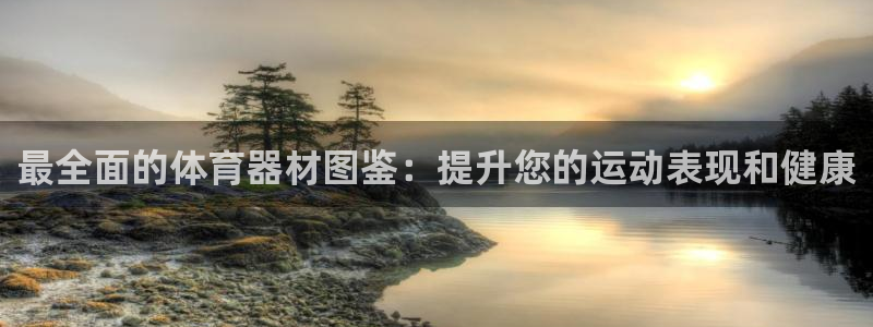 富联娱乐是资金盘吗：最全面的体育器材图鉴：提升您的运动表现和