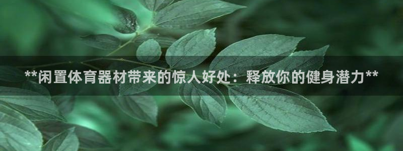 富联官方网站入口查询：**闲置体育器材带来的惊人好处