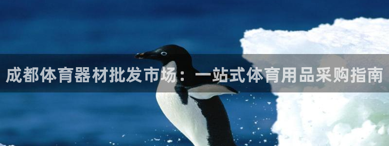 富联平台李 411O31 富联：成都体育器材批发市场：一站式