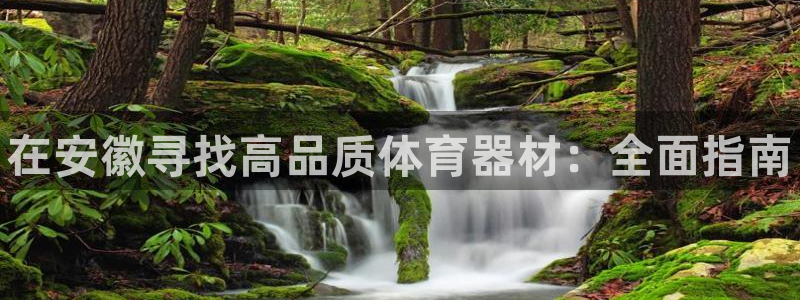 富联机械：在安徽寻找高品质体育器材：全面指南