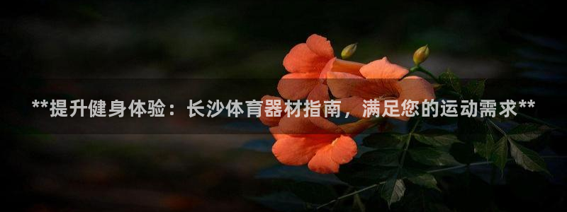 富联智能：**提升健身体验：长沙体育器材指南，满足您的运动需