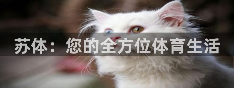 富联娱乐戚少风：苏体：您的全方位体育生活
