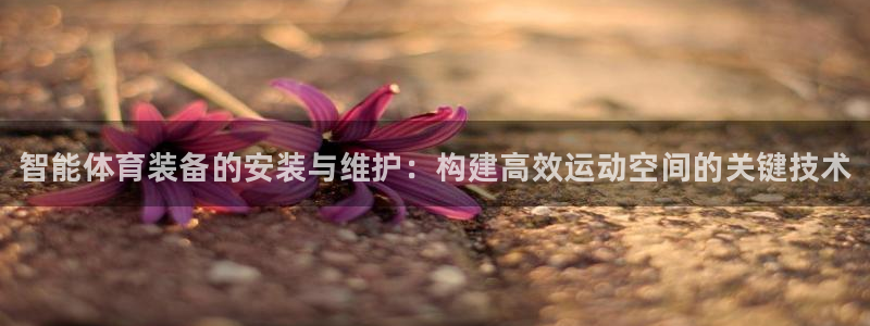 富联娱乐：智能体育装备的安装与维护：构建高效运动空间