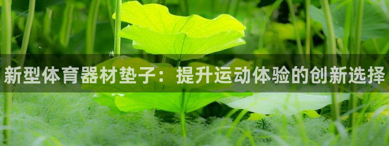 富联平台用户登陆：新型体育器材垫子：提升运动体验的创