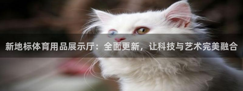 富联平台总代：新地标体育用品展示厅：全面更新，让科技