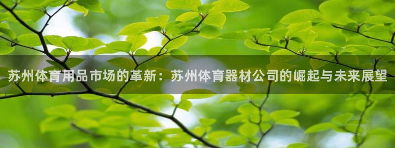 富联娱乐登录注册入口官网网址是多少：苏州体育用品市场的革新：